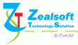 zealsoft-e1373227098466